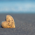 zen heart 